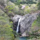 최진이 번역 일반행정사 사무소 이미지