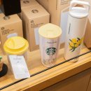 호야네 다육이 이미지