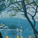 제8회 광주여성영화제 이미지