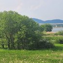 열린민원행정사사무소 이미지