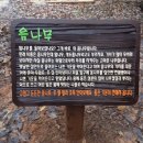 양달캠핑장 이미지