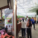 지열농장 이미지