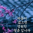 이 기사 우습게 보지 말것을 권유합니다. 이미지