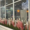 도림핫스타 이미지