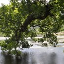 반곡저수지 이미지