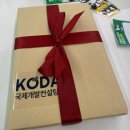 2024 서청캠 국제기구 분야 랩파티(Wrap Party) 후기