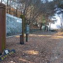 월성산 봉수대 이미지