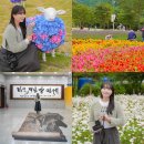 남면 작은도서관 | 강원도 인제 가볼만한곳 가을꽃축제 방문기 10월 가족여행 관광지 모음