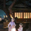 겨울 덕수궁 야간개장 한복스냅 촬영 후기(고궁 촬영 허가 필요 없어요!) / 디어달링스냅 / 1인여성작가