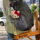 귀여운건 못 참아!! 바쿠백 x 헬로키티 | 장바구니 스탠다드 / 패킹 큐브 세트 헬로키티참 내돈내산 후기