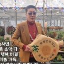 “사즉생의 각오로 황칠 세계화와 대중화의 진정한 대부로 자리매김 하다...” 황칠대부 이근식의 K...