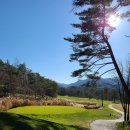 오른골프아카데미 이미지