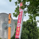도원촌진미메밀국수 | 설악산 근처 맛집 | 영광정 메밀국수의 동치미막국수와 감자전 (+주말 점심 웨이팅&주차)