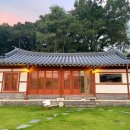 힐링애견 이미지