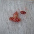 현대통통의원 이미지