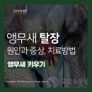 영민동물병원 이미지