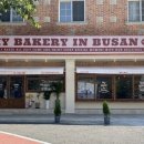 마이베이커리인부산(MY BAKERY IN BUSAN)