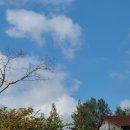 한국체대 하늘태권도장 이미지