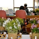 고성군청 이미지