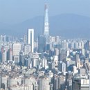 강남-296 이미지