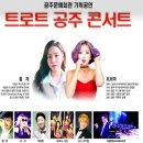 트로트 공주 콘서트 이미지