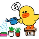 보문약국 이미지