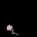 삼일어린이집 이미지