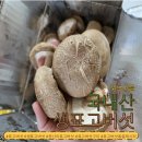 쌍둥이야채 - 강서구 방화동로16길 23 | 위드산들 생표고버섯 🍄 야채 안 먹는 쌍둥이도 반한 표고버섯볶음 솔직 후기