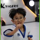 경희대 KTIGERS 태권도 네이버블로그