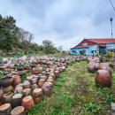 제주도예촌 이미지