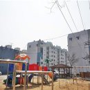 가곡리 Daum카페