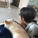 사랑스럽댕 이미지