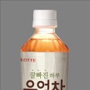 칠성우엉 연합뉴스