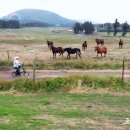 제주파도소리와 돌공원 이미지