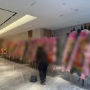 까까모어 | [결혼준비] 1단계: 웨딩홀 투어 - 선릉 르비르모어 26년 견적 공유