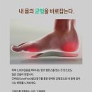 굿피트