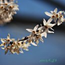 쌍곡 농장 이미지