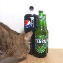 지에스 더 프레시 관악청림점 이미지