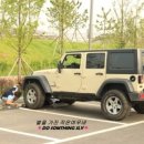 댕이의하루 이미지