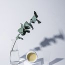 명품피부과의원 이미지