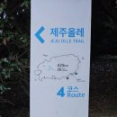 소노캄 제주 웨스트타워 이미지