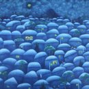 둔산중로-6 이미지