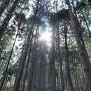 갈모봉산림욕장 | 고성 갈모봉산림욕장 다녀온 후기 남겨요.(3월 19일)_(2023.4.19. 작성)