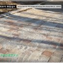 크레비즈 이미지