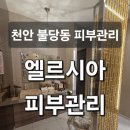 사랑의피부관리실 | 천안 불당동 피부관리실 엘르시아피부관리 토닝재생관리 후기, 속건조 고민 해결