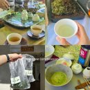 하동야생차박물관 | 26년 하동 야생차문화축제 뒤늦은 후기 (+덖음차 체험)