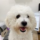 성일동물병원 이미지