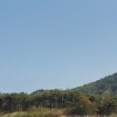 덕과면 덕동마을 이미지