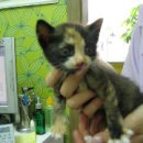 노룬산동물병원 이미지