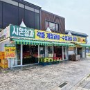 시온청과 이미지